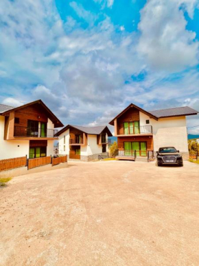 Wonder Hill group Bakuriani